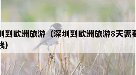 深圳到欧洲旅游(深圳到欧洲旅游8天需要多少钱)
