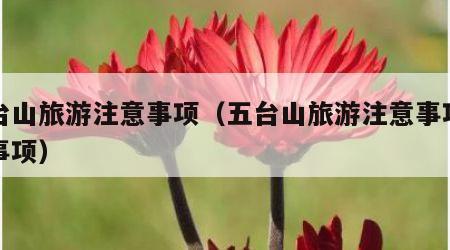 五台山旅游注意事项(五台山旅游注意事项安全事项)