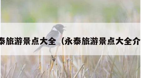 永泰旅游景点大全(永泰旅游景点大全介绍)