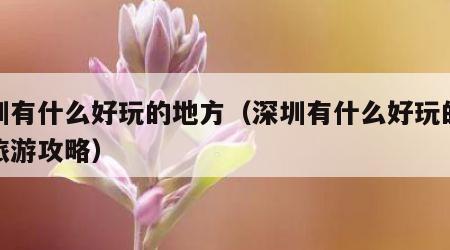 深圳有什么好玩的地方(深圳有什么好玩的地方旅游攻略)