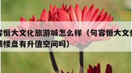 句容恒大文化旅游城怎么样(句容恒大文化旅游城楼盘有升值空间吗)