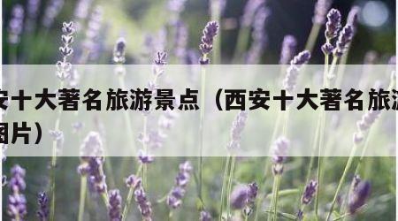 西安十大著名旅游景点(西安十大著名旅游景点图片)