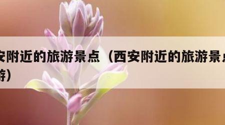 西安附近的旅游景点(西安附近的旅游景点一日游)