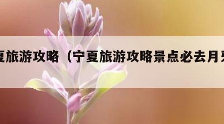 宁夏旅游攻略（宁夏旅游攻略景点必去月牙泉）