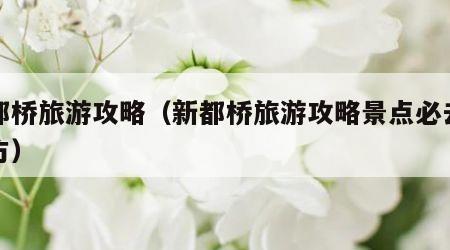 新都桥旅游攻略(新都桥旅游攻略景点必去的地方)