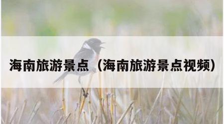 海南旅游景点(海南旅游景点视频)
