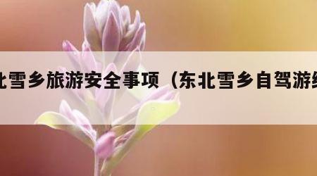 东北雪乡旅游安全事项(东北雪乡自驾游经历)