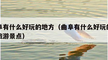 曲阜有什么好玩的地方(曲阜有什么好玩的地方旅游景点)