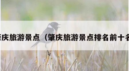 肇庆旅游景点（肇庆旅游景点排名前十名）