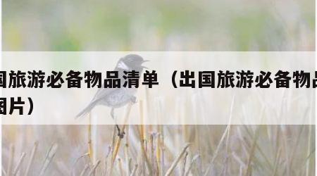 出国旅游必备物品清单(出国旅游必备物品清单图片)