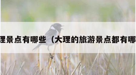 大理景点有哪些（大理的旅游景点都有哪些）