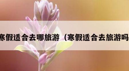 寒假适合去哪旅游(寒假适合去旅游吗)