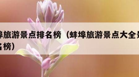 蚌埠旅游景点排名榜(蚌埠旅游景点大全景点排名榜)
