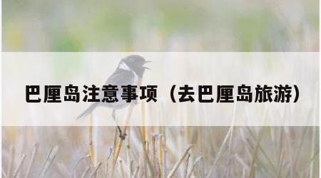 巴厘岛注意事项(去巴厘岛旅游)