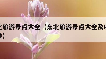 东北旅游景点大全（东北旅游景点大全及收费标准）