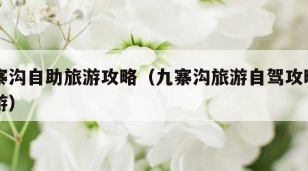 九寨沟自助旅游攻略(九寨沟旅游自驾攻略自助游)