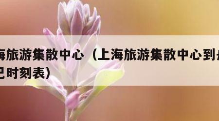 上海旅游集散中心(上海旅游集散中心到舟山大巴时刻表)