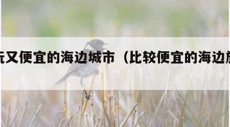 好玩又便宜的海边城市(比较便宜的海边旅游)