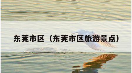 东莞市区(东莞市区旅游景点)