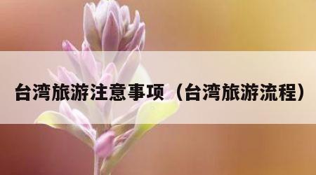 台湾旅游注意事项(台湾旅游流程)