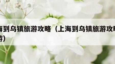 上海到乌镇旅游攻略（上海到乌镇旅游攻略二日游）