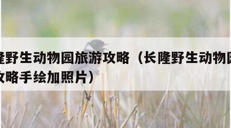 长隆野生动物园旅游攻略（长隆野生动物园旅游攻略手绘加照片）