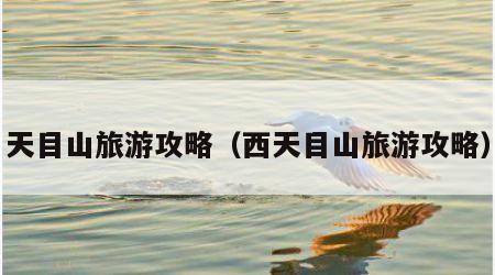 天目山旅游攻略(西天目山旅游攻略)