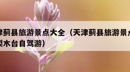 天津蓟县旅游景点大全(天津蓟县旅游景点大全梨木台自驾游)