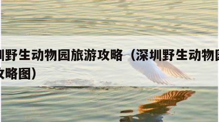 深圳野生动物园旅游攻略（深圳野生动物园旅游攻略图）