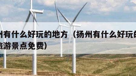 扬州有什么好玩的地方(扬州有什么好玩的地方旅游景点免费)