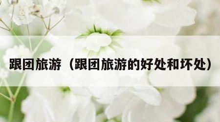 跟团旅游（跟团旅游的好处和坏处）