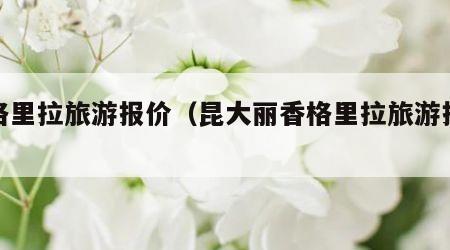 香格里拉旅游报价(昆大丽香格里拉旅游报价)
