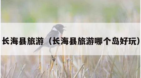 长海县旅游(长海县旅游哪个岛好玩)