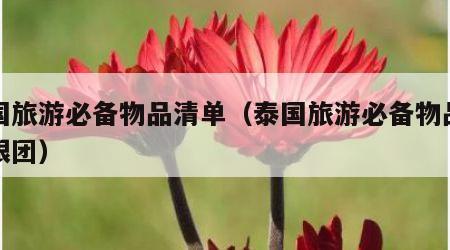 泰国旅游必备物品清单（泰国旅游必备物品清单跟团）