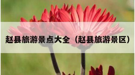 赵县旅游景点大全(赵县旅游景区)