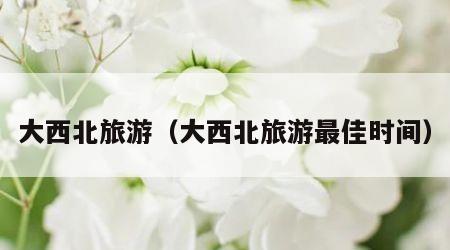 大西北旅游(大西北旅游最佳时间)