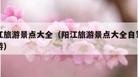 阳江旅游景点大全(阳江旅游景点大全自驾车旅游)