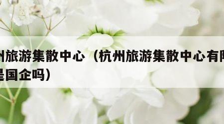 杭州旅游集散中心(杭州旅游集散中心有限公司是国企吗)