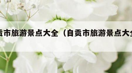 自贡市旅游景点大全（自贡市旅游景点大全图片）