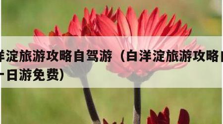 白洋淀旅游攻略自驾游（白洋淀旅游攻略自驾游一日游免费）