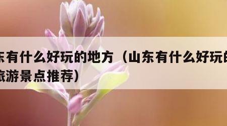 山东有什么好玩的地方(山东有什么好玩的地方旅游景点推荐)
