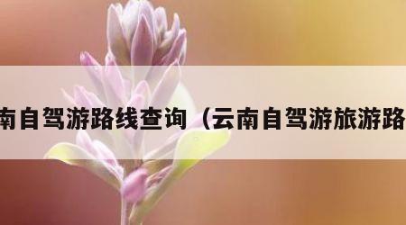云南自驾游路线查询(云南自驾游旅游路线)