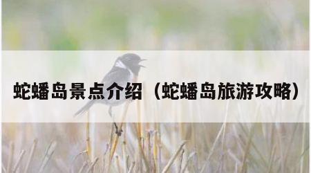 蛇蟠岛景点介绍（蛇蟠岛旅游攻略）