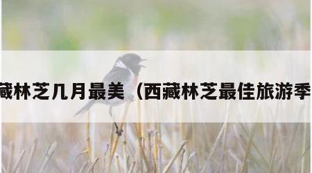 西藏林芝几月最美(西藏林芝最佳旅游季节)