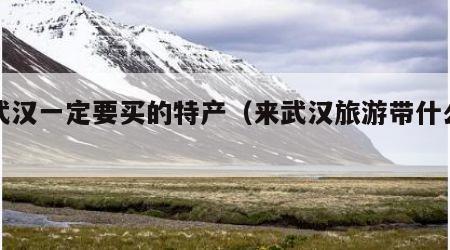 去武汉一定要买的特产（来武汉旅游带什么特产）