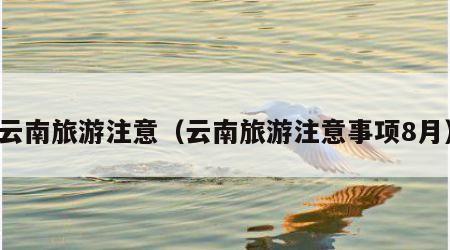 云南旅游注意(云南旅游注意事项8月)