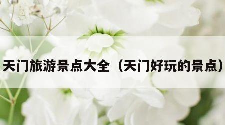 天门旅游景点大全(天门好玩的景点)