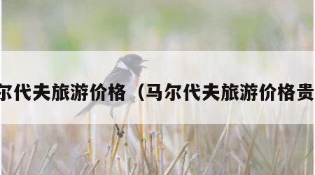 马尔代夫旅游价格(马尔代夫旅游价格贵吗)