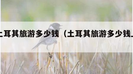 去土耳其旅游多少钱(土耳其旅游多少钱上海)