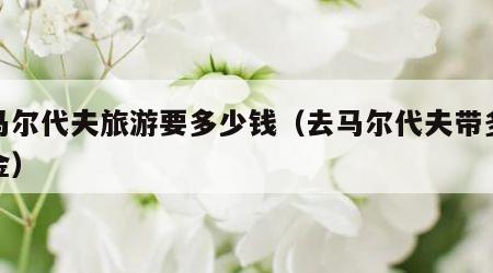 去马尔代夫旅游要多少钱(去马尔代夫带多少美金)